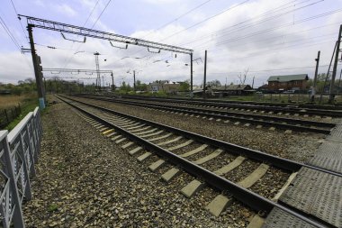 Yazın güzel bir kır yolu. Kenar mahallelerdeki asfalt ya da toprak yol.