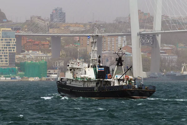 May 2015 Vladivostok Russia Small Black Tug Boat Sails Sea — Stock Photo, Image