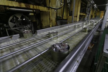 Mayıs 2015 - Güney Denizi, Rusya - Konserve balık üretimi. Taşıma bandında konserve balık. Konserveleri hazırlayın..