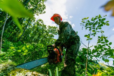 2015 yazında, Vladivostok, Rusya - Turuncu miğferli Kuzey Koreli bir işçi Vladivostok yakınlarındaki bir kumarhanede yeni bir kumarhanenin inşaatında testere ile ağaç kesiyor..