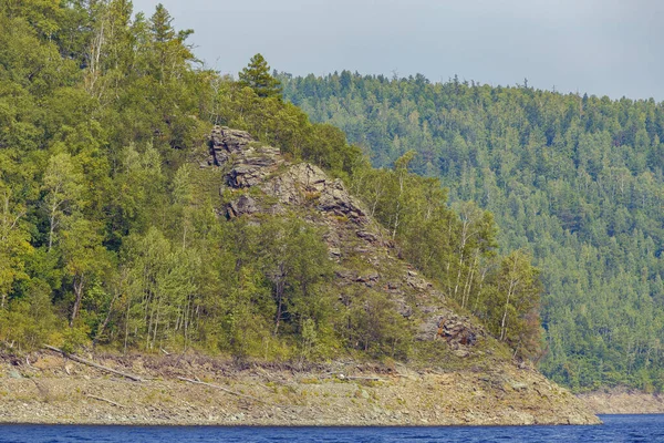 Piękny Krajobraz Morze Zeya Region Amur Wysokie Zielone Drzewa Rosną — Zdjęcie stockowe