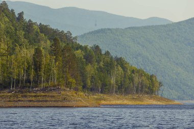 Güzel manzara. Zeya Denizi, Amur Bölgesi. Tepenin dik yamacında uzun yeşil ağaçlar yetişir.