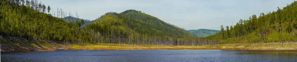 Bela Paisagem Reservatório Zeya Região Amur Costa Pitoresca Lago Coberto — Fotografia de Stock