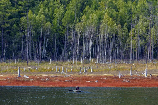 Nádherná Krajina Zeya Sea Oblast Amuru Rybář Gumovém Člunu Vesly — Stock fotografie