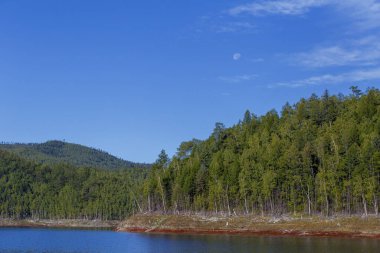 Güzel manzara. Zeya rezervuarı, Amur bölgesi. Uzun yeşil ağaçları olan güzel kayalık bir sahil gölün sakin mavi sularına gider..