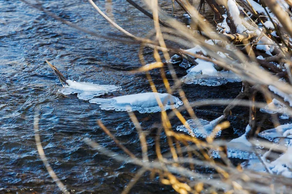 美しい風景 氷と木の間の森の川の溶けた水路に沿って透明な水が流れています 保護区のきれいな森の川 — ストック写真