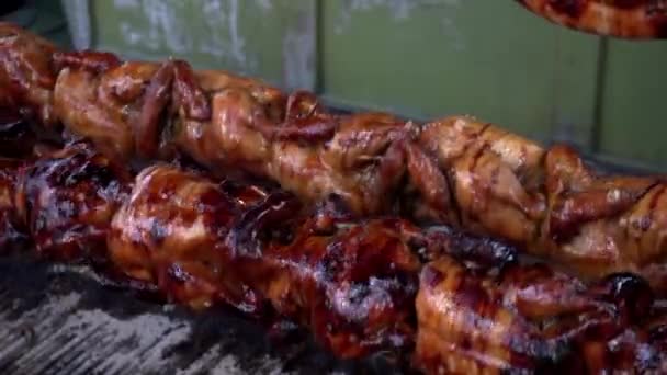 Close Delicious Appetizing Kebab Chicken Carcass Spinning Coals Spindle Grilling — Stock Video