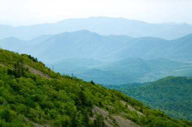 Güzel manzara. Yazın dağın tepesinde yeşil çayırlar. Dağın tepesi yeşil çimenler ve alçak çalılarla kaplı..