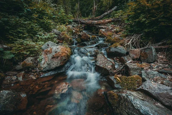 Bela Paisagem Córrego Montanha Cristalino Desce Pedras Entre Musgo Verde — Fotografia de Stock
