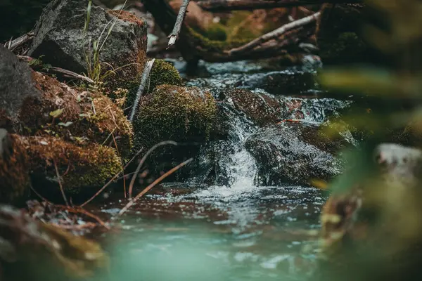 Nádherná Krajina Křišťálově Čistý Horský Potok Teče Kamenech Mezi Zeleným — Stock fotografie