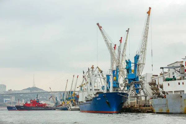 Verano 2015 Vladivostok Rusia Vladivostok Industrial Marine Facade Grúas Carga — Foto de Stock