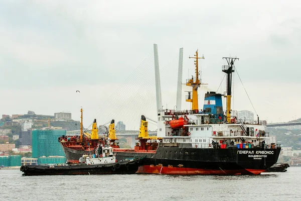 Verano 2015 Vladivostok Rusia Fachada Marina Vladivostok Buques Científicos Carga — Foto de Stock