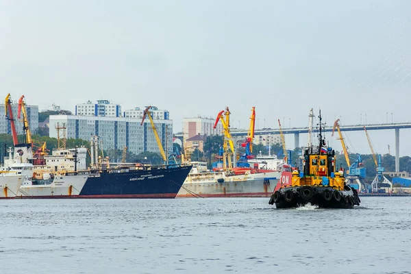 Verano 2015 Vladivostok Rusia Fachada Marina Vladivostok Buques Científicos Carga — Foto de Stock