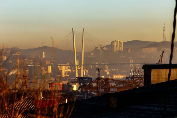 海参崴多彩的黎明 海参崴金桥斜拉桥斜拉桥背靠贸易港口的工业起重机 — 图库照片