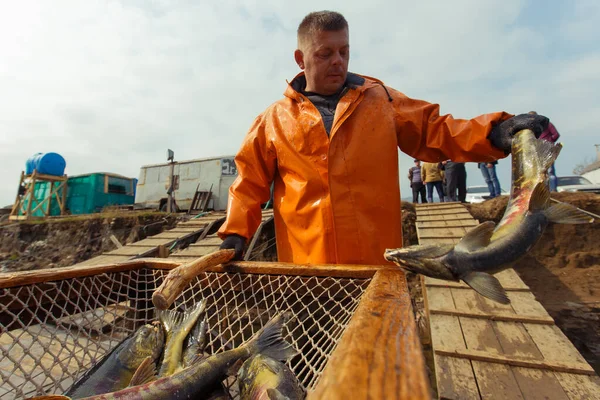 Лето 2015 Года Барабаш Приморский Край Работники Оранжевых Водонепроницаемых Костюмах — стоковое фото