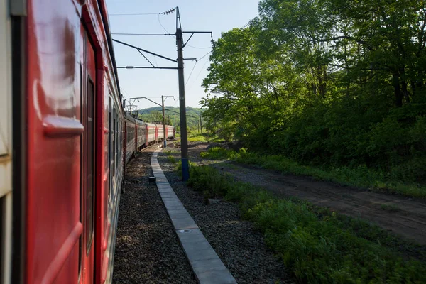 Staart Van Een Rode Passagier Trein Rijdt Tussen Groene Bomen — Stockfoto