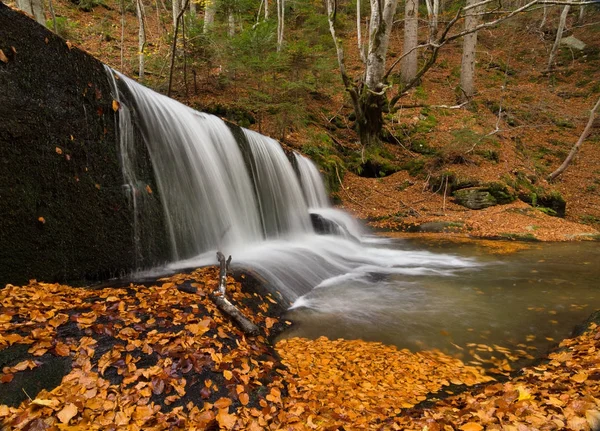 Wald Herbst Wasserfall — Stockfoto