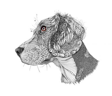 Köpek. Zentangle üzerinde beyaz backg izole bir beagle, stilize portresi