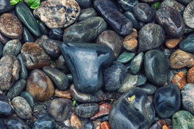 texture of wet stones on the river Bank. Pebble heart-shaped and colored pebbles and wet clipart