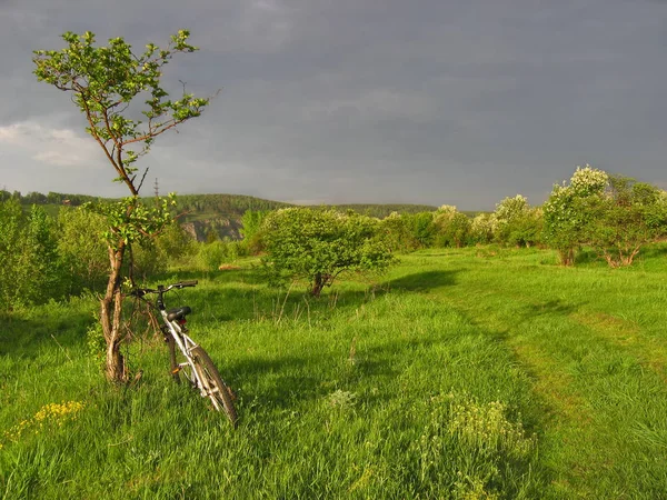 summer landscape Cycling outside the city in nature