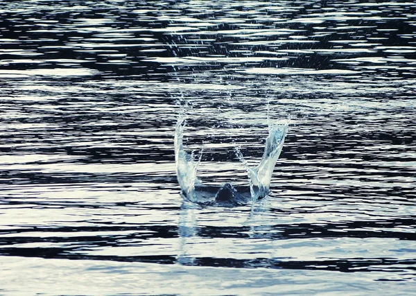 Salpicadura Con Gotas Agua Superficie Del Agua Después Piedra — Foto de Stock