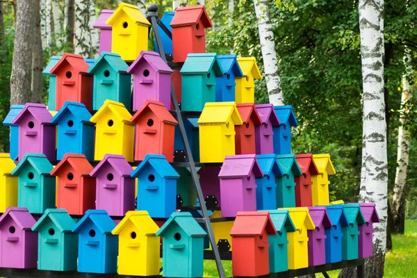 Parkta güzel çok renkli kuş evleri. Yüksek katlı kuş yuvası