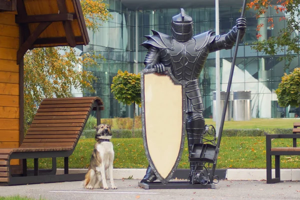 The dog and the knight in heavy armor guarding the building.