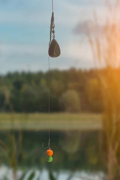 Boilies ve kanca gölde sazan balıkçılık için hazır. Kopyala Yapıştır — Stok fotoğraf