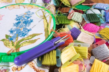 Kanaviçe işi işlemidir. Tuval üzerinde çemberler, iğneler, nakış ipi ve desen.