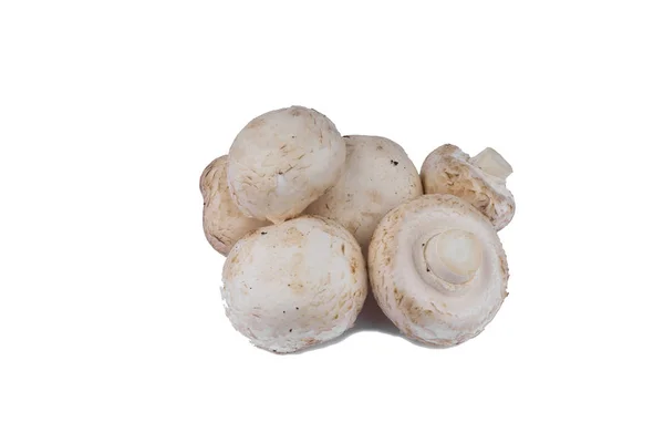 Witte champignons eiwit isolaat op witte achtergrond. Met een shad — Stockfoto