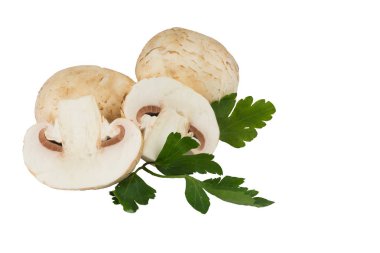 Beyaz arka plan üzerinde beyaz mantar protein izole. Bir gölge