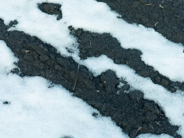 Um remendo descongelado na neve com cenário de primavera solo preto — Fotografia de Stock