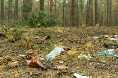 Boş plastik şişe çöp şeklinde ormana insan tarafından atılmış. İnsan yaşamı ürünlerine göre çevre kirliliği kavramı.