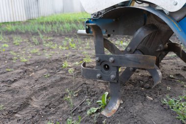 Bir motosiklet ekicisiyle toprağı sürün. Toprağı sürün. Toprağı işlet.