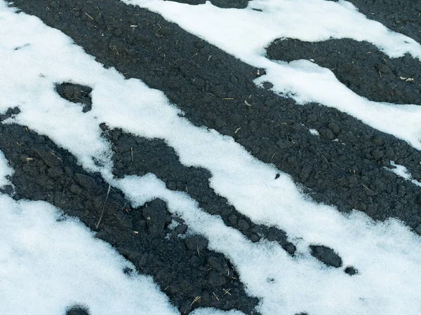 Um remendo descongelado na neve com cenário de primavera solo preto . — Fotografia de Stock