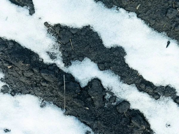 Um remendo descongelado na neve com cenário de primavera solo preto — Fotografia de Stock