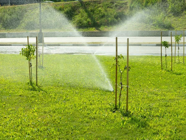 Riego de hierba. Jardín inteligente activado con sistema de riego por aspersión automático completo. Riego de césped. Riego de la cabeza del rociador. Concepto de jardinería —  Fotos de Stock