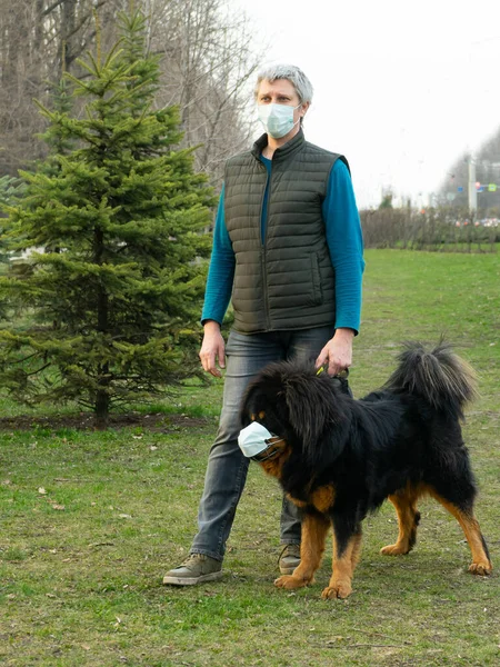 A man in a medical mask walks a dog during quarantine that is wearing a medical mask. mock up