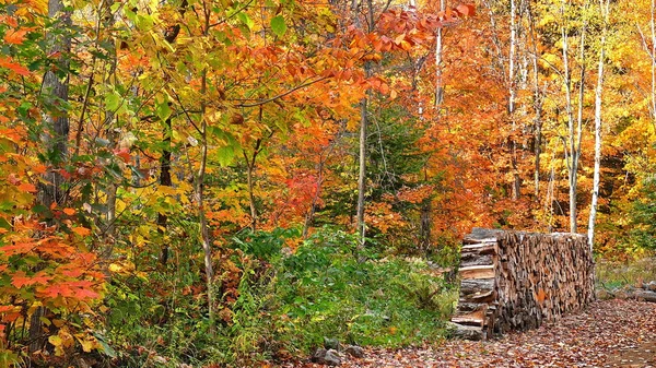 Quebec sonbaharda. Kanada, Kuzey Amerika.
