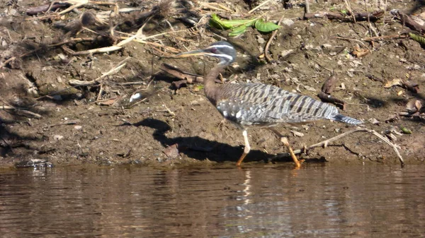 Güneş Bolivya, Güney Amerika.