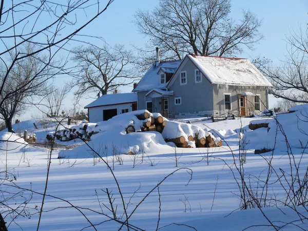 Quebec grupta. Kanada, Kuzey Amerika.