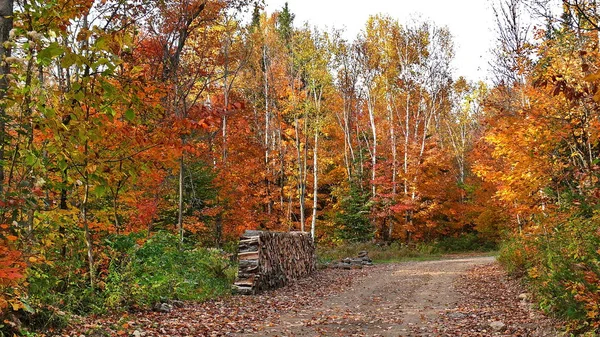 Quebec sonbaharda. Kanada, Kuzey Amerika.