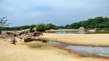 Nehirde Fleuve. Bolivya, Güney Amerika.