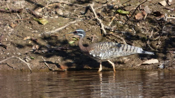Güneş Bolivya, Güney Amerika.