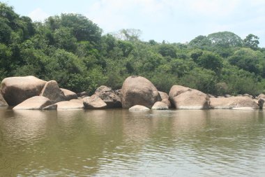Nehirde Fleuve. Bolivya, Güney Amerika.