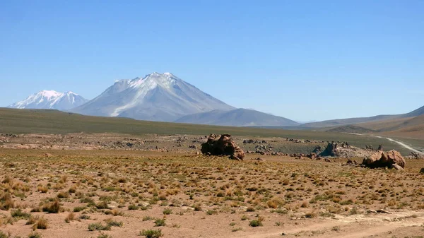 Siloli çölde Altiplano. Bolivya, Güney Amerika.