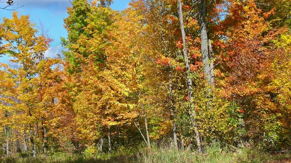 Outono em Quebec. Canadá, América do Norte . — Fotografia de Stock