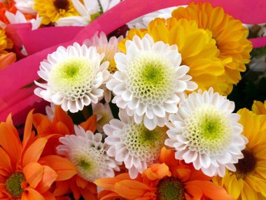 Lale Gatineau içinde. Kanada, Kuzey Amerika.