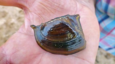 Bolivya'da, Güney Amerika su.