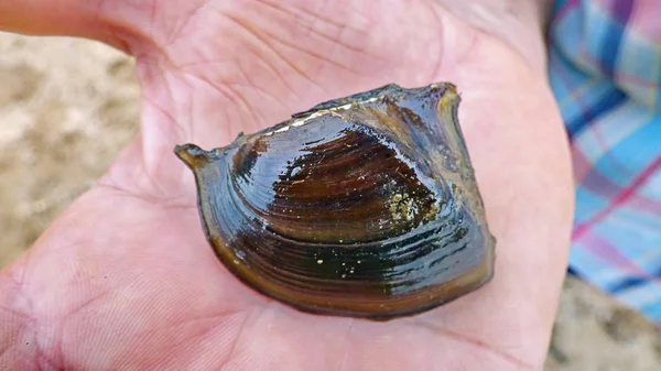 Bolivya'da, Güney Amerika su.